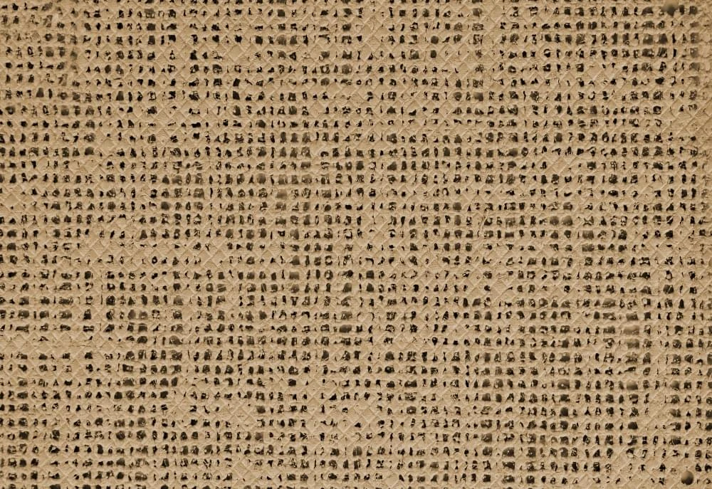 Bo-Camp Aerotex Tenttapijt 2,5 X 6 Meter Beige - Afbeelding 2